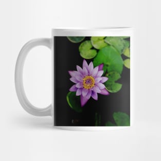 lotus flower Mug